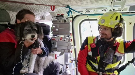 Čudeži se dogajajo: med uničujočimi poplavami našli Cooperja in s helikopterjem rešili Bolta!