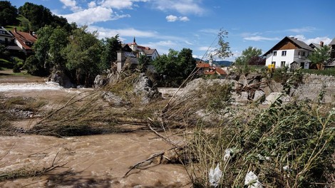 Skrite in nevidne žrtve poplav: trajalo bo leta, da si bodo te živali opomogle