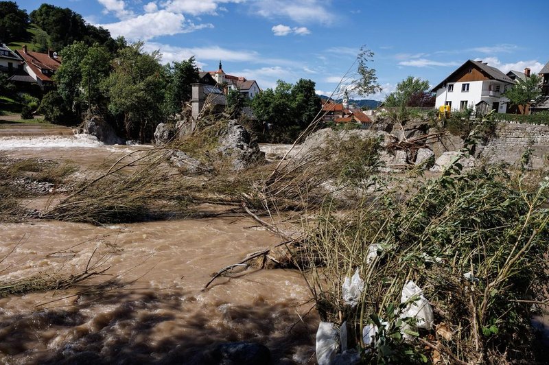 Skrite in nevidne žrtve poplav: trajalo bo leta, da si bodo te živali opomogle (foto: Profimedia)