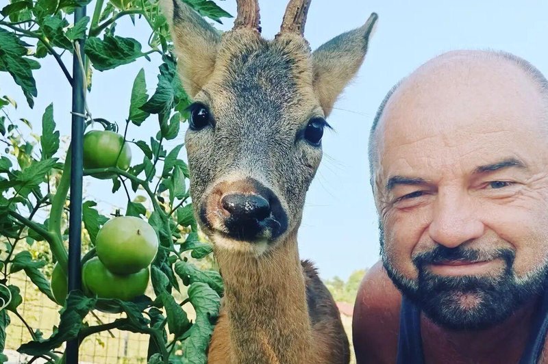 Jan Knez razkril žalostno novico: nekdo mu je zastrupil srnjačka, sedaj pa razkril še, kaj se je zgodilo z njim (foto: Jan Knez/Facebook)