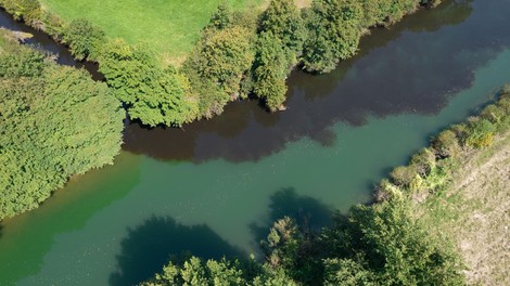 Na Ljubljanskem barju črna voda in smrad po gnilobi: ugotovili so izvor (presenetilo vas bo)