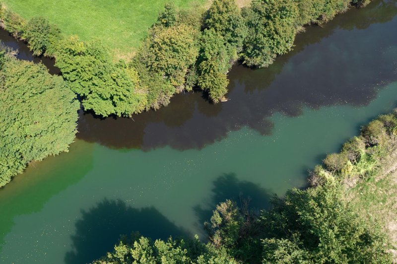 Znano je, kaj je krivo za onesnaženje na Ljubljanskem barju (foto: Uroš Stepišnik/STA)