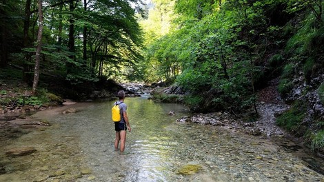 Poklon mogočni naravi: turisti v Sloveniji vzdihujejo, da česa tako lepega še niso uzrli!