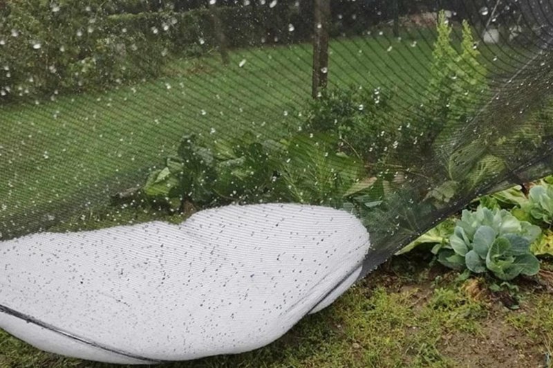 Del Slovenije je zajela huda nevihta s točo: poglejte, kam se premikajo deževni oblaki (radarska slika padavin) (foto: Facebook/Neurje.si/Sanja Pertoci)