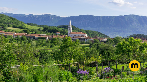 Slovenska vas med vinogradi, ki je postala zvezda na Netflixu