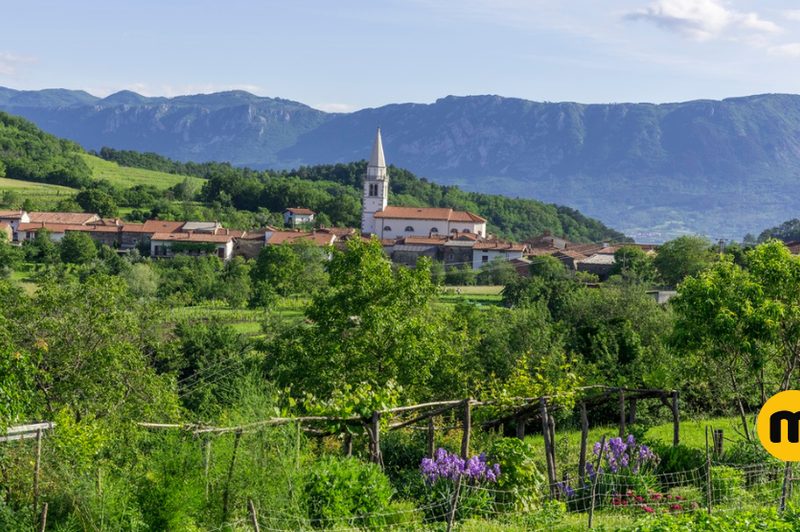 Slovenska vas med vinogradi, ki je postala zvezda na Netflixu (foto: Profimedia)