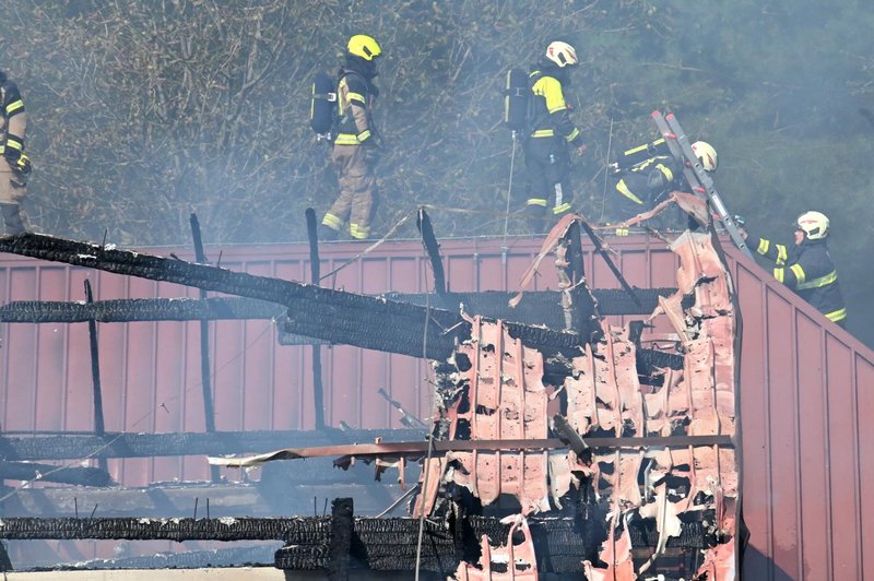 Katastrofalni požar na kmetiji pod Šmarno goro: poglejte fotografije s prizorišča (pretreseni boste) (foto: Žiga Živulović j.r./Bobo)