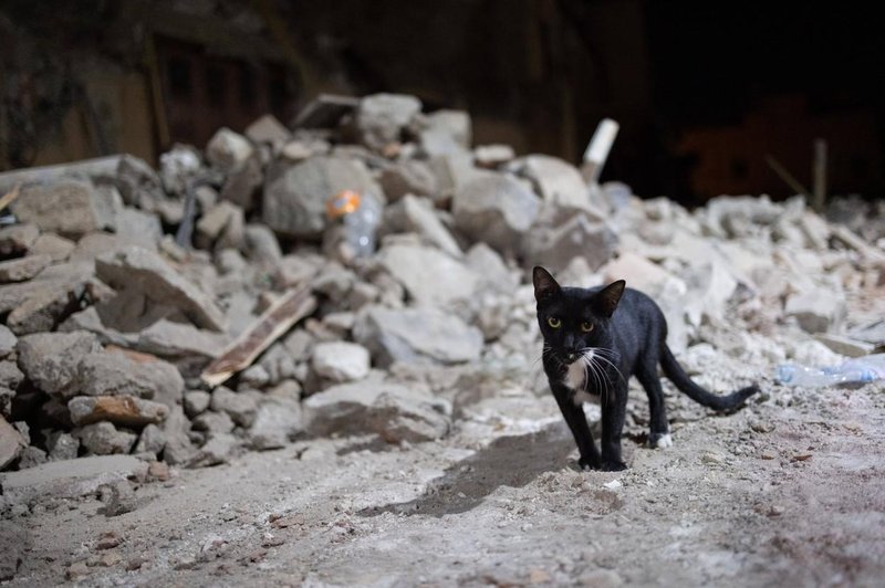 Nepredstavljiva tragedija: po hudem potresu šok in groza, ob omembi števila umrlih pa zaledeni kri v žilah (foto: Profimedia)