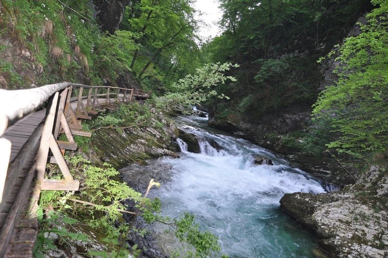 Slovenija v EU z močnim sporočilom glede zaščite vode (foto: Profimedia)