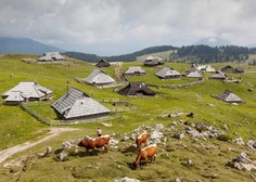 Obiskovalce Velike planine bo pričakala novost : oglejte si, kako neverjetno izgleda  (FOTO)