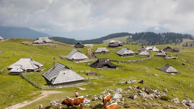 Fotografija je simbolična. (foto: Profimedia)