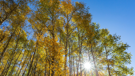 Značilnega jesenskega vremena še ni na vidiku: temperature bodo za september visoke (tudi nevihte niso izključene)