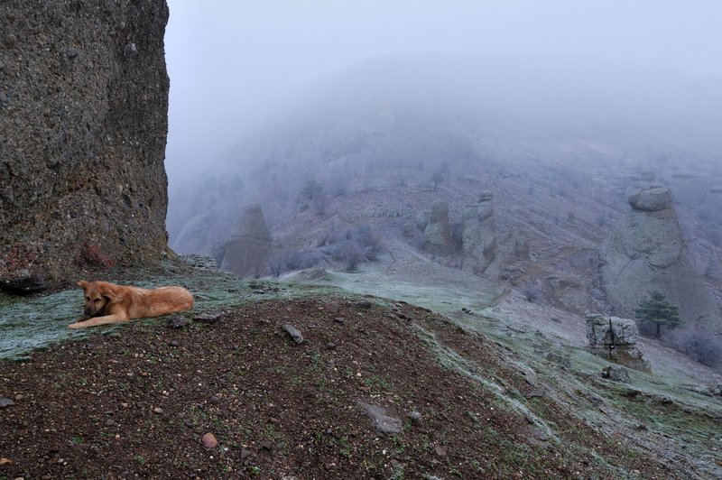 Fotografija je simbolična (foto: Profimedia)