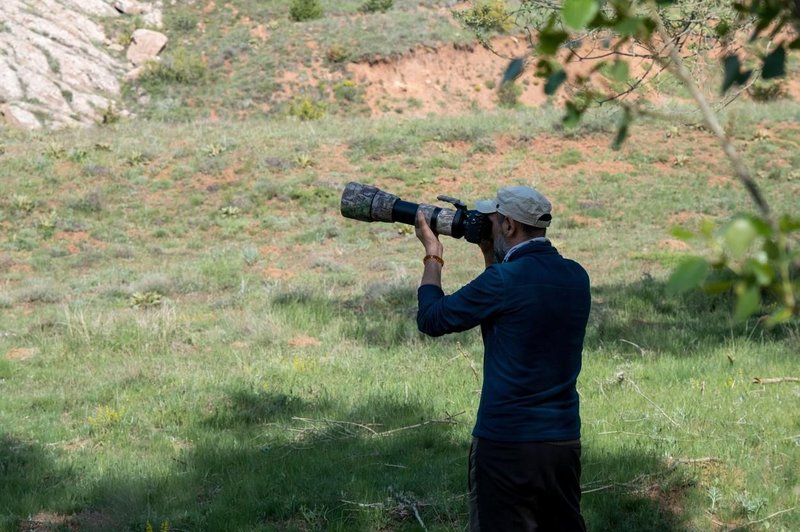 Razlog za veselje: pri nas opazili eno najredkejših ptic na svetu (foto: Profimedia)