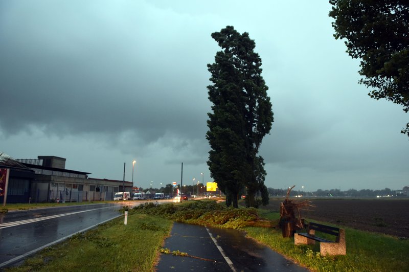 Vremenska zmeda: po kratkotrajnem mrazu spet nadpovprečno toplo, težave pa povzroča veter (foto: Tadej Kirincic/Sobotainfo/Bobo)