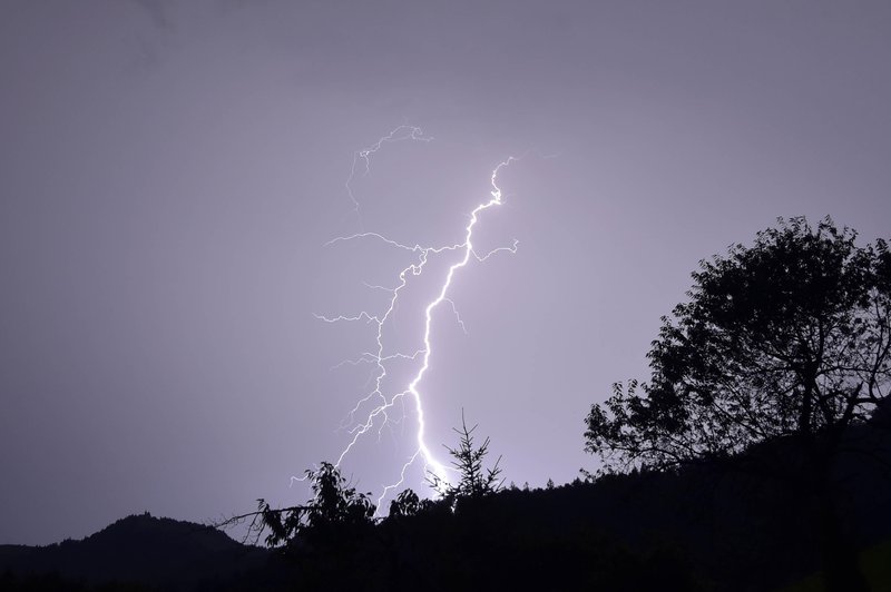 Neurje terjalo novo smrtno žrtev: po padcu drevesa na avtomobil umrla ena oseba (foto: Srdjan Živulovič/Bobo)