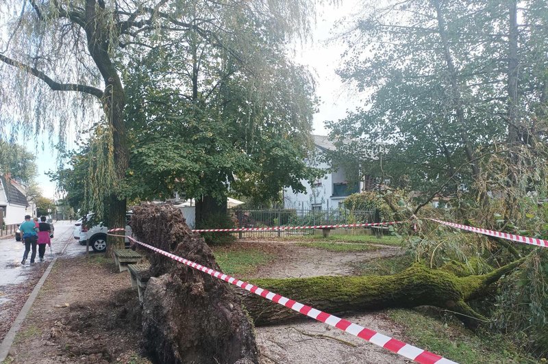 Neurje v ljubljanskem naselju povzročilo razdejanje, kot ga ne pomnijo (FOTO) (foto: Uredništvo)