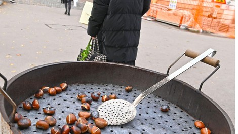 Vonj po pečenem kostanju: koliko stane posamezna merica v Ljubljani?