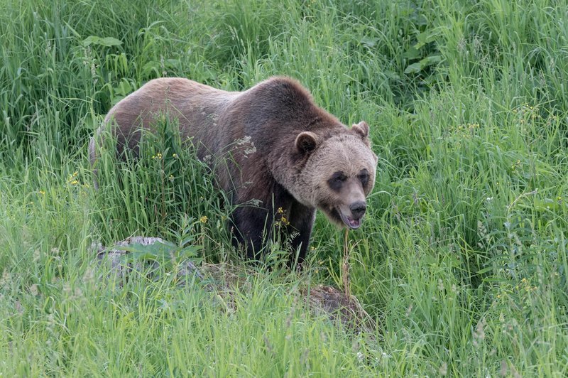 Fotografija je simbolična. (foto: Profimedia)