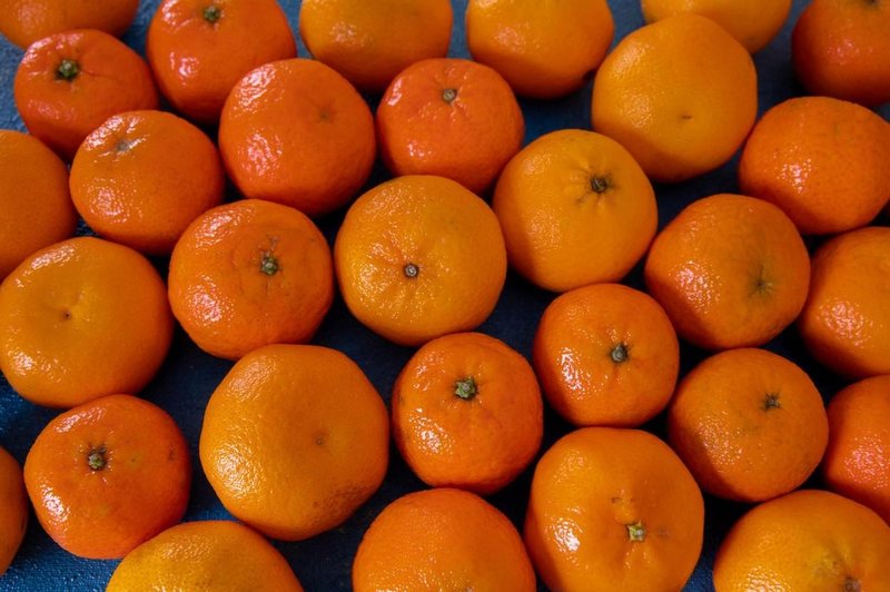 Zaradi nevarnega pesticida ponovno uničili pošiljko mandarin (foto: Profimedia)