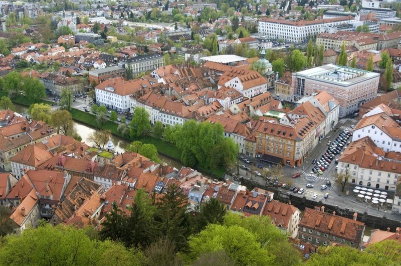 "Ne bo nam treba kuhati ponoči, uporaba toasterja nas ne bo udarila po žepu": omrežnina bo v letu 2024 nižja! (foto: Profimedia)