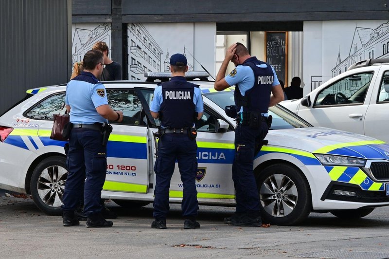 Tujcu je nekdo med počitkom v Sloveniji izpraznil rezervoar (foto: Bobo)