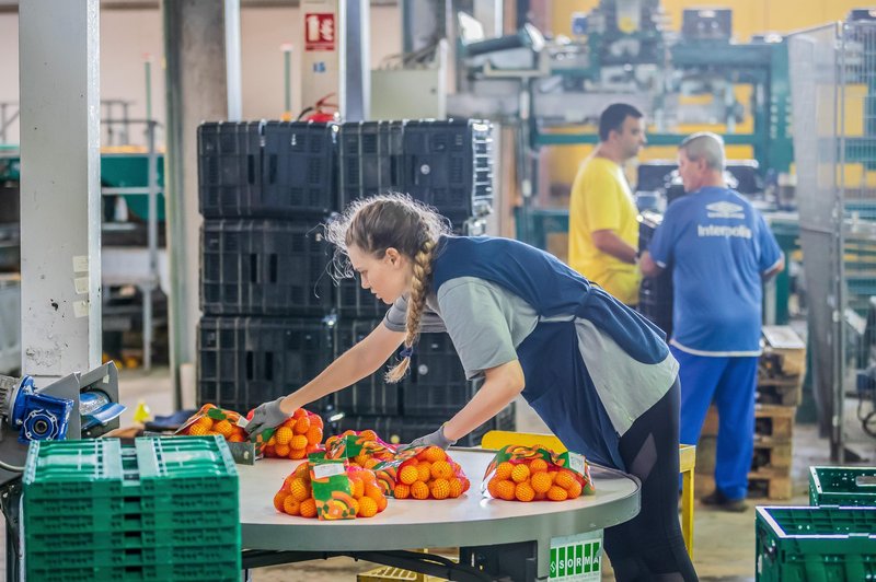 Toliko dela za nič: odpoklici in zavrnitve mandarin na meji se nadaljujejo (foto: Zvonimir Barisin/PIXSELL/BOBO)