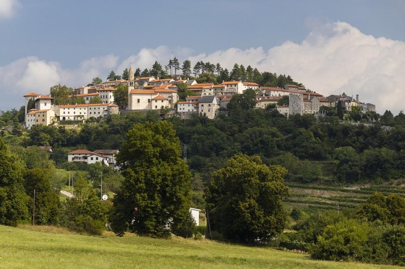 Bo Vipava dobila digitalni Da Vincijev muzej? (Posvečen bo posebnim elementom) (foto: Profimedia)