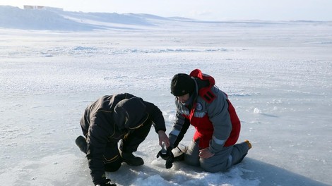 Raziskava permafrost arktika