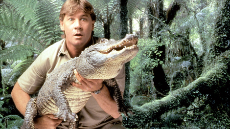 Steve Irwin