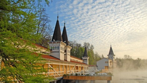 Le tri urce vožnje iz Ljubljane se lahko 365 dni v letu kopaš med lokvanji! Poglej, kje (FOTO)