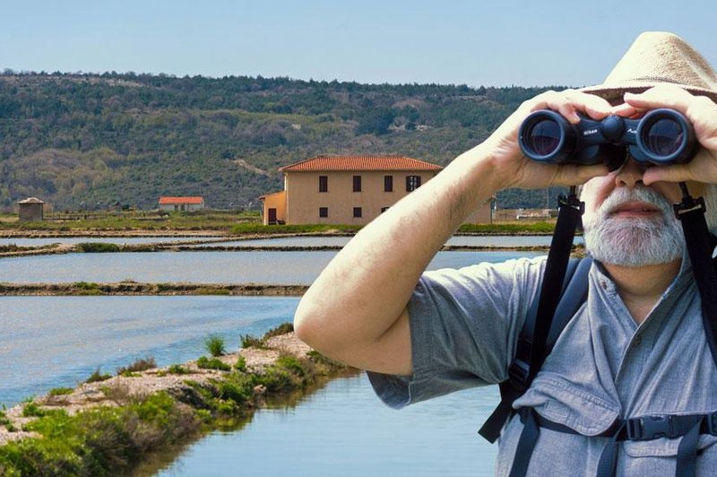 Neverjeten prizor v Sečoveljskih solinah, česa takega še niste videli (foto: Profimedia/fotomontaža)