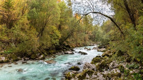 tolmin