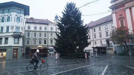 smreka Prešernov trg veseli december