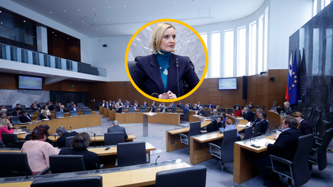 državni zbor poslanci parlament Mojca Šetinc Pašek