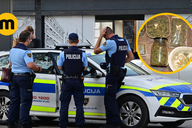 Slovenski policisti so nam razkrili, kaj naredijo z drogami, ki jih zasežejo (tega si niste mislili) (foto: Žiga Živulović j.r./Bobo/Facebook/Slovenska policija/fotomontaža)