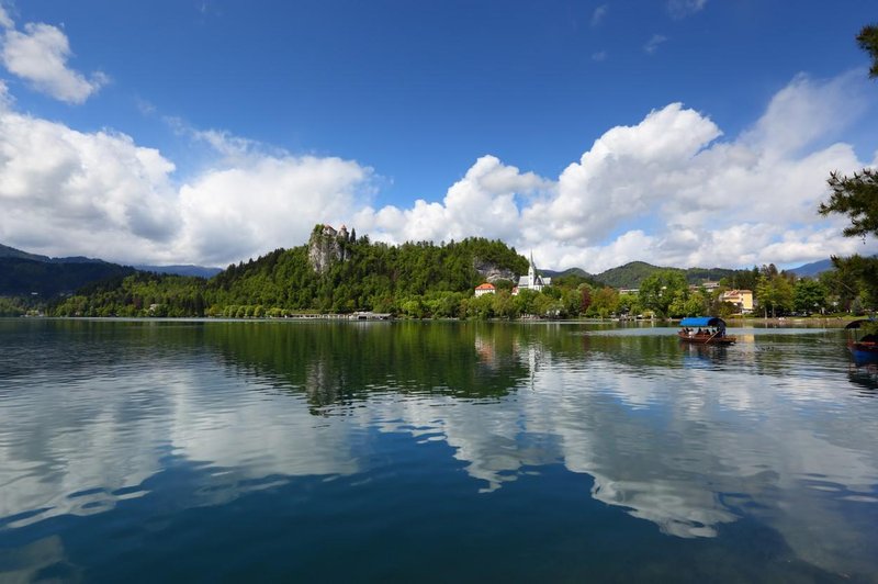 Eksplozivna razprava v državnem zboru: poslanci trdijo, da Slovenija ni več varna država (poglejte, zakaj) (foto: Profimedia)