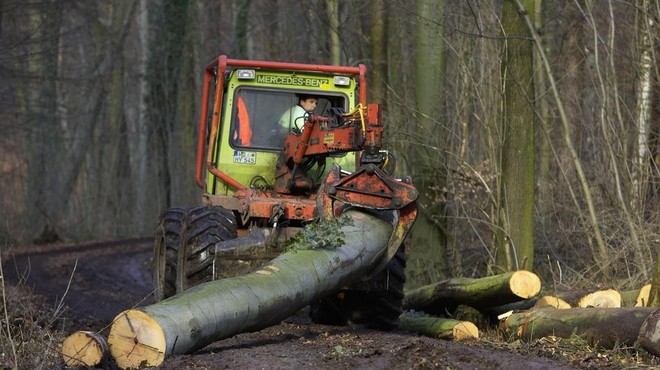 Slika je simbolična. (foto: Profimedia)