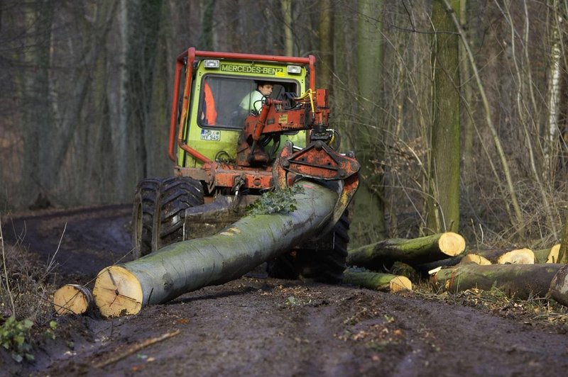 Slika je simbolična. (foto: Profimedia)