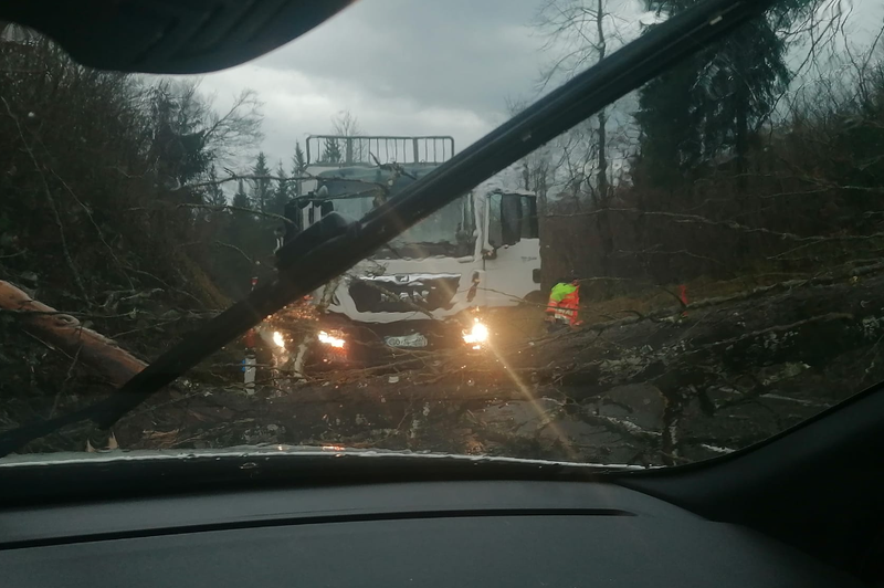 Srhljivo! Padlo drevo za las zgrešilo znano Slovenko: "Nimam besed, kako hvaležna sem, da sem se zvečer varno vrnila domov" (foto: Posnetek zaslona/Fb profil Urša Trebušak Hipnoza)