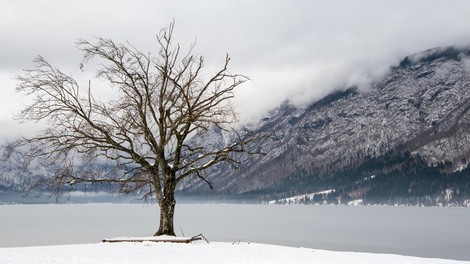 zima Bohinj sneg vreme