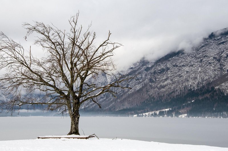 Padavine povzročile nevšečnosti po državi (pozor, težave še vedno na cestah!) (foto: Profimedia)