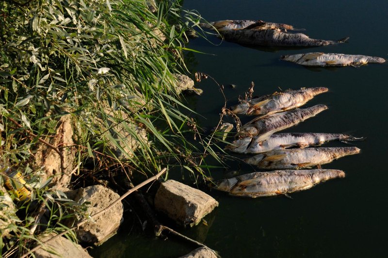 Fotografija je simbolična. (foto: Miloš Vujinovič/Bobo)