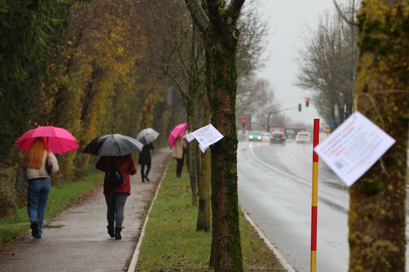 Protest proti sečnji 179 dreves: "Javni prostor v Ljubljani je vse manj javen in vse bolj razprodan bogatim" (foto: Posnetek zasloona/Fb profil Levica Ljubljana)