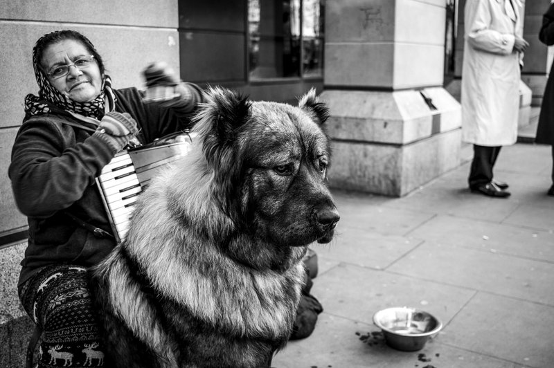 Fotografija je simbolična (foto: Profimedia)