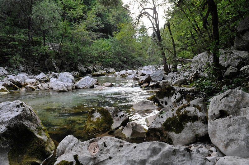 Nedeljska groza na Tolminskem: v reki Idrijci našli truplo (foto: Urška Živulovic/Bobo)