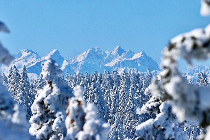 Slovenija je polna prekrasnih panoramskih razgledov, poznate tega? (Turisti k nam pridejo tudi zaradi njega) (foto: Pot med krošnjami)