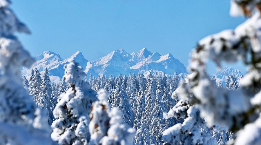 Slovenija je polna prekrasnih panoramskih razgledov, poznate tega? (Turisti k nam pridejo tudi zaradi njega) (foto: Pot med krošnjami)