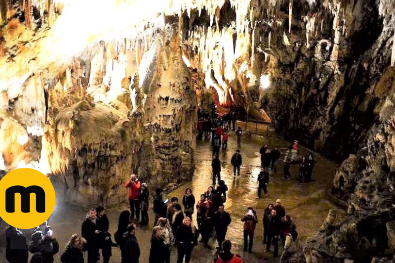 Turisti ne vedo, ali obiskati Postojnsko ali Škocjanske jame? Večina jim je odgovorila, da ... (foto: Samo Šmarčan)