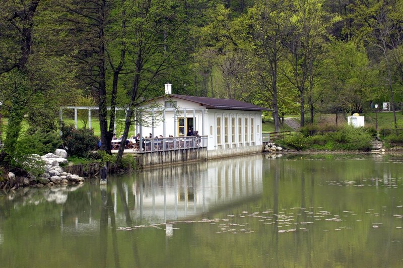 Razplet zgodbe: inšpekcija zaprla priljubljen ljubljanski lokal, kjer so obiskovalce pričakale miši in podgane (foto: Bobo)